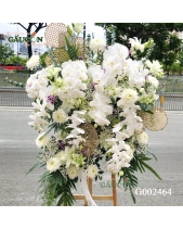 G002464 - belovedbeyond.com
