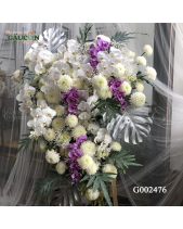G002476 - belovedbeyond.com