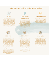 Sữa Dưỡng Ẩm Da Em Bé Little Dragon - belovedbeyond.com