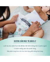 Tã Dán Cocomelon Rascal+Friends Size L (10-15Kg) - belovedbeyond.com