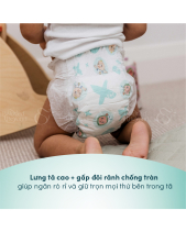 Tã Dán Cocomelon Rascal+Friends Size Xl (13-18Kg) - belovedbeyond.com