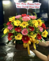 Giỏ Hoa Khai Trương - Cúc Đồng Tiền Kt202 - belovedbeyond.com