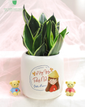 Quà Tặng Phụ Nữ Việt Nam - Set 04 - Cây Lưỡi Hổ - belovedbeyond.com