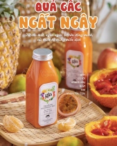 Combo 3 Chai Nước Ép Organic - belovedbeyond.com
