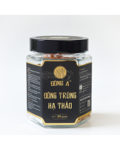 Đông Trùng Hạ Thảo - belovedbeyond.com