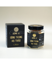 Đông Trùng Hạ Thảo - belovedbeyond.com