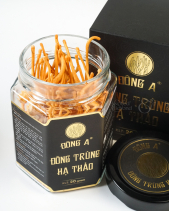 Đông Trùng Hạ Thảo - belovedbeyond.com