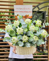 Gh-555 - belovedbeyond.com