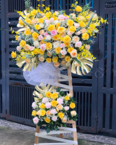 Hoa Chúc Mừng - belovedbeyond.com