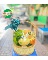 Giỏ Trái Cây 500-03 - belovedbeyond.com