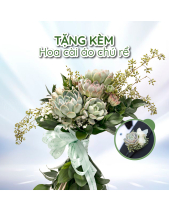 [Hoa Tươi, Chọn Lọc Kỹ] Sánh Bước_Bó Hoa Cầm Tay - belovedbeyond.com