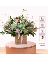 Bung Tỏa_Giỏ Hoa Sen Đá Cắm Sáng Tạo - belovedbeyond.com