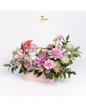 [Giữ Lại Rễ] Giỏ Hoa Tốt Nghiệp Sen Đá - belovedbeyond.com