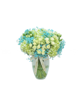 Bình Xanh Tươi 1 - belovedbeyond.com
