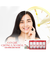 Hồng Sâm Táo Đỏ Linh Chi - belovedbeyond.com
