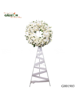 G001903 - belovedbeyond.com