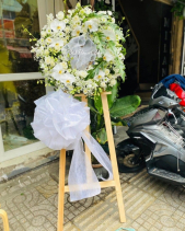 Kh-457 - belovedbeyond.com