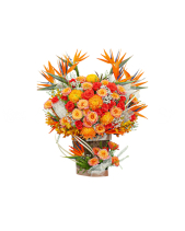 Tung Cánh Bay Xa - belovedbeyond.com