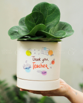 Mừng Ngày Nhà Giáo Việt Nam 20/11 - Mẫu 01 - belovedbeyond.com