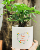 Mừng Ngày Nhà Giáo Việt Nam 20/11 - Mẫu 05 - belovedbeyond.com