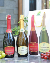 Rượu Vang Nổ – Sparkling Wine - belovedbeyond.com