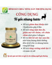 Tổ Yến Nhung Hươu Chưng Sẵn Anbienst - belovedbeyond.com