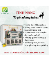 Tổ Yến Nhung Hươu Chưng Sẵn Anbienst - belovedbeyond.com