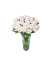 Bình Hồng Da 30 - belovedbeyond.com