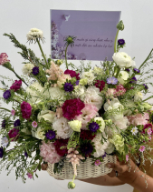 Kẻ Mộng Mơ - belovedbeyond.com