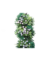 Đại Phú Đại Quý - belovedbeyond.com