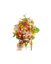 Phát Đạt 2 - belovedbeyond.com