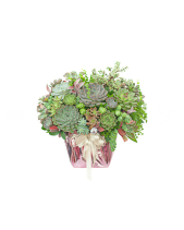 Hoa Sen Đá 10 - belovedbeyond.com