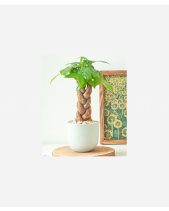 Mochi Kim Ngân Bính - belovedbeyond.com