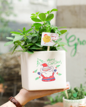 Set Quà Giáng Sinh 010 - belovedbeyond.com