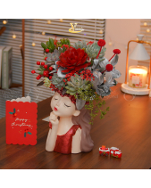[Hoa Tươi, Chọn Lọc Kỹ] Nàng Tiên Noel_Chậu Sen Đá - belovedbeyond.com
