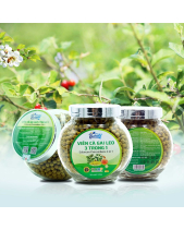 Viên Cà Gai Leo 3 Trong 1 Bometa - belovedbeyond.com