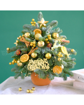 Thông Noel 45Cm - belovedbeyond.com