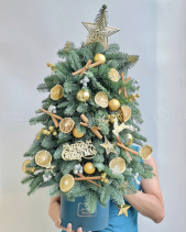 Thông Noel 70Cm - belovedbeyond.com