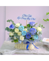 Hoa Chúc Mừng - belovedbeyond.com