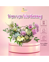 [Giữ Lại Rễ] Thuyền Tâm Tình_Giỏ Hoa Sen Đá - belovedbeyond.com