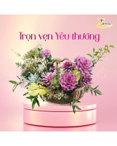 [Giữ Lại Rễ] Thuyền Tâm Tình_Giỏ Hoa Sen Đá - belovedbeyond.com