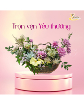 [Giữ Lại Rễ] Thuyền Tâm Tình_Giỏ Hoa Sen Đá - belovedbeyond.com