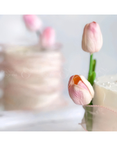 𝑩𝒂́𝒏𝒉 𝑯𝒐𝒂 𝑻𝒖𝑳𝒊𝒑 - belovedbeyond.com