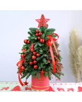 Cây Thông Noel 50Cm 2 - belovedbeyond.com