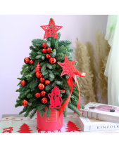 Cây Thông Noel 50Cm 4 - belovedbeyond.com