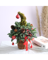 Cây Thông Noel 45Cm 1 - belovedbeyond.com