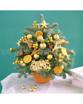 Cây Thông Noel 45Cm 3 - belovedbeyond.com