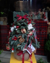 Cây Thông Noel - belovedbeyond.com