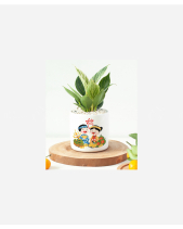 Xuân An Khang 2 - belovedbeyond.com