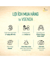 Sum Vầy_Lẵng Hoa Sen Đá Làm Quà Tết_Vsenda - belovedbeyond.com